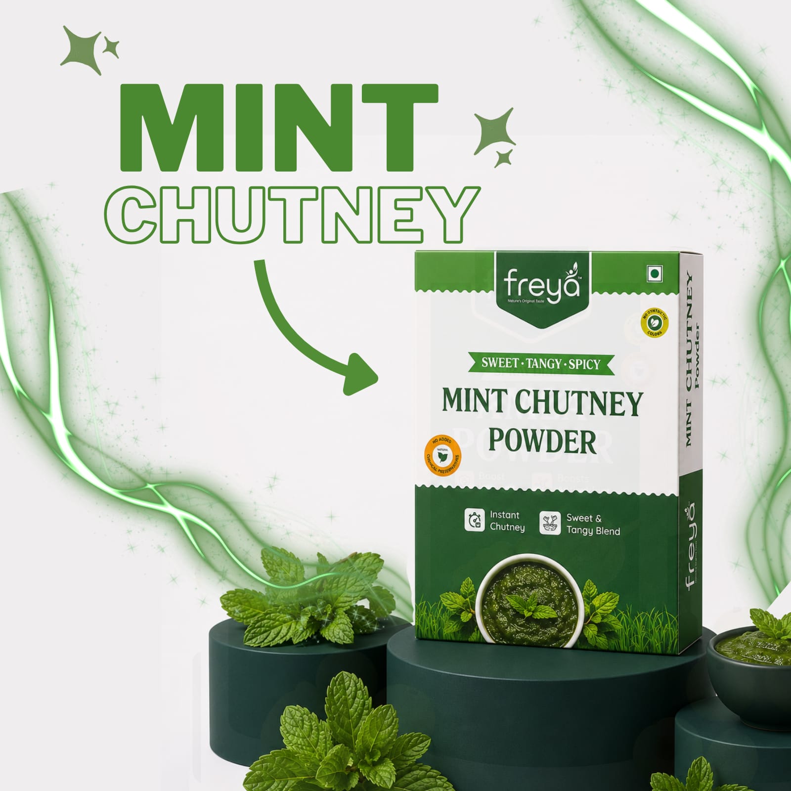 Instant Mint Chutney Powder